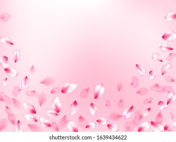 Pink cherry blossom petals isolated on rose color background. Flying sakura flower parts spring wedding vector. Flower blossom particles, petals rain shower. Cosmetics composition.