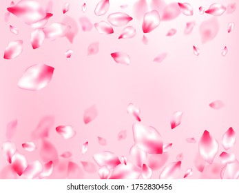 Pink cherry blossom petals isolated on rose color background. Springtime symbols. Flower blossom particles, petals rain shower. Flying sakura flower parts spring wedding vector.