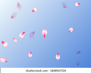 Pink cherry blossom petals isolated on blue sky background. Flying sakura flower parts spring wedding vector. Pastel pink blossom petals floral design. Invitation card pattern.