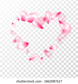 Pink cherry blossom petals isolated on transparent background. Beauty studio concept. Floral natural blossom soft petals illustration. Flying sakura flower parts spring wedding vector.