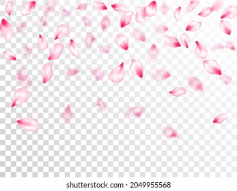 Pink cherry blossom petals isolated on transparent background. Birthday card backdrop. Pastel pink blossom petals floral design. Flying sakura flower parts spring wedding vector.