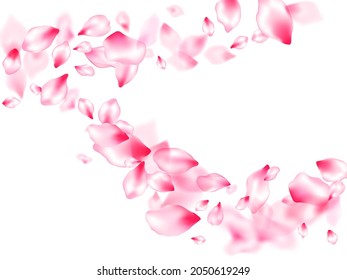 Pink cherry blossom petals isolated windy blowing background. Flying sakura flower parts spring wedding vector. Spring or summer light flower petals illustration. Beauty studio concept.