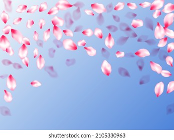 Pink cherry blossom petals isolated on blue sky background. Flying sakura flower parts spring wedding vector. Realistic peach flolwer petals natural decor. Oriental composition.