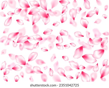 Pink cherry blossom petals isolated windy blowing background. Flying sakura flower parts spring wedding vector. Natural marrige decor of chinese cherry petals. Beauty studio concept.