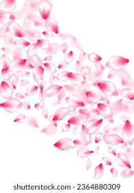 Pink cherry blossom petals isolated windy blowing background. Flying sakura flower parts spring wedding vector. Pastel rose color apple flower petals design. Delicate spring vector.