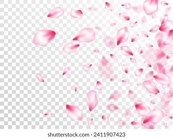 Pink cherry blossom petals isolated on transparent background. Postcart background. Pastel pink blossom petals floral design. Flying sakura flower parts spring wedding vector.