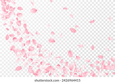 Pink cherry blossom petals isolated windy blowing background. Spring season backdrop. Pastel rose color apple flower petals design. Flying falling sakura flower parts spring wedding vector.