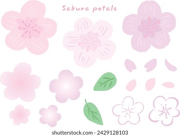 Pink cherry blossom petals and leaves, cute hand drawn illustration set
