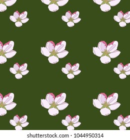 Pink cherry blossom sakura flowers in a Japanese style. Seamless spring background. Freshness in nature.