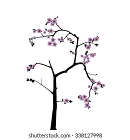 Pink cherry blossom sakura flowers  in a Japanese style