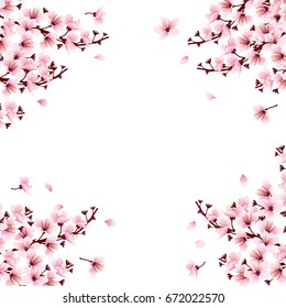 Pink cherry blossom, sakura flowers branches on white background. Vector illustration.