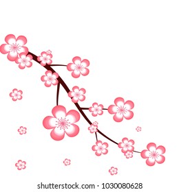 Pink cherry blossom  or Sakura of japan with  tree branch in spring  on a white background , vector,illustration , image.