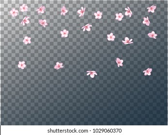 Pink Cherry Blossom Vector Confetti. 