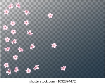 Pink Cherry Blossom Vector Confetti. Holiday Wedding Birthday Decoration Hipster Pink Cherry Blossom Confetti. Spring Apple, Sakura or Apricot Blooming Showering. Elegant Magic Flying Petals.