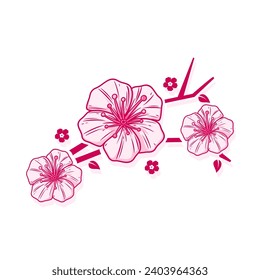 Pink Cherry blossom vector design 