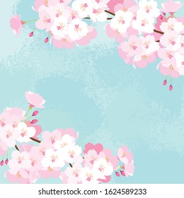 Pink Cherry blossom vector Illustration