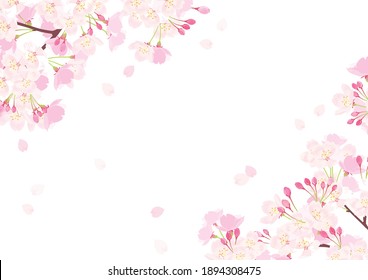 Pink Cherry Blossom Vector Illustration