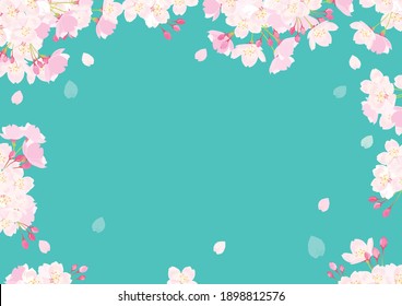 Pink Cherry blossom vector Illustration