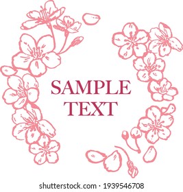 Pink Cherry blossom vector Illustration