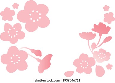 Pink Cherry blossom vector Illustration