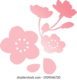Vector de flores de cerezo rosa Ilustración