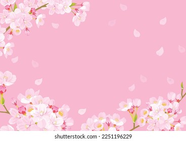 Pink Cherry blossom vector Illustration.