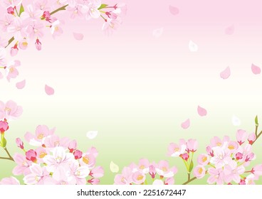 Pink Cherry blossom vector Illustration.