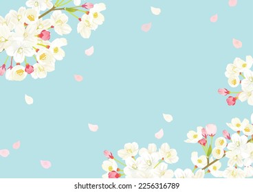 Pink Cherry blossom vector Illustration.