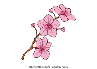 Pink Cherry Blossom Vector Illustration