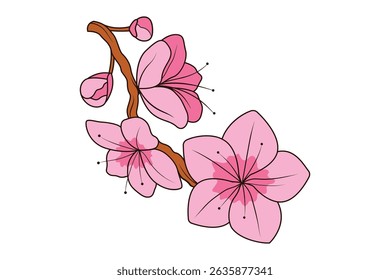 Pink Cherry Blossom Vector Illustration