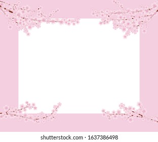 Pink cherry blossom white border frame