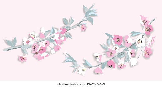 Pink Cherry blossom,Paper art Vector Illustration 