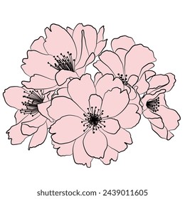 Flores de cerezo rosa arte de línea negra 