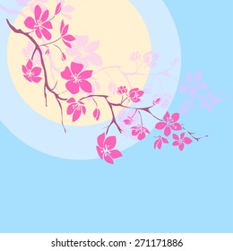 pink cherry blossoms branch is on the sunset background. Vector illustration