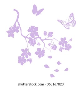 pink cherry blossoms branch  are on white background. Vector illustration