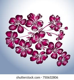 pink cherry blossoms branch are on grey background. Vector illustration
