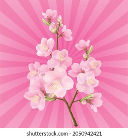 Pink cherry blossoms on the background graphics
