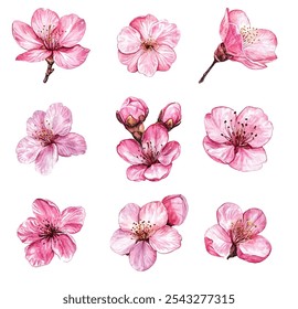 pink cherry blossoms, perfect for spring-themed designs, invitations, and decor. These delicate floral elements add a touch of elegance and natural beauty to any project.