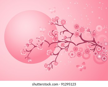 Pink Cherry Blossoms Sakura