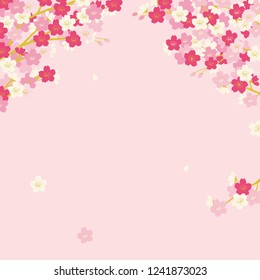 Pink Cherry blossom,Vector Illustration