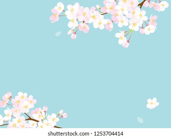 Pink Cherry blossom,Vector Illustration