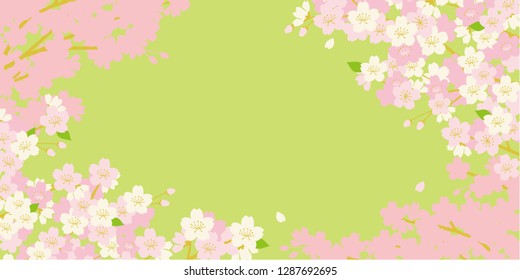 Pink Cherry blossom,Vector Illustration