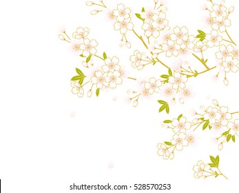 Pink Cherry blossom,Vector Illustration