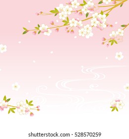 Pink Cherry blossom,Vector Illustration
