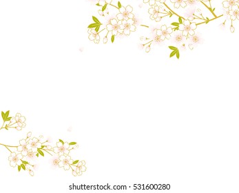 Pink Cherry blossom,Vector Illustration