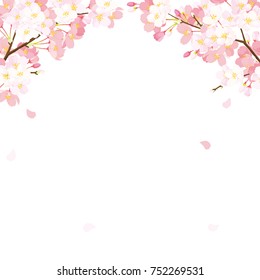 Pink Cherry blossom,Vector Illustration