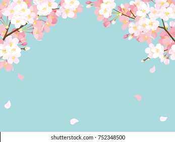 Pink Cherry blossom,Vector Illustration