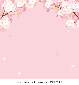 Pink Cherry blossom,Vector Illustration