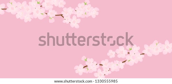 Pink Cherry Blossomvector Illustration Pink Cherry Stock Vector Royalty Free