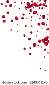 Pink Cherry Blur Vector White Background. Falling Lotus Illustration. Red Floral Japanese Texture. Beautiful Blossom Summer Pattern.
